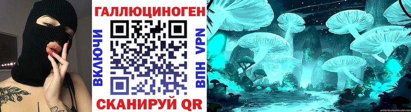 Купить где  Биробиджан  Псилоцибиновые грибы GOLDEN TEACHER 